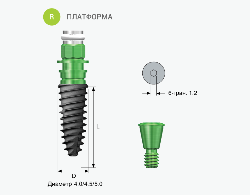 TS IV SA платформа